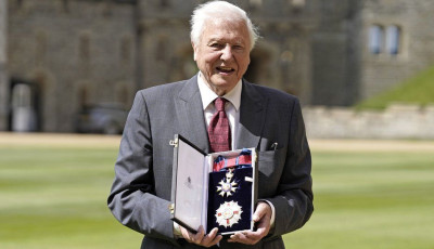 David Attenborough kir&aacute;lyi kit&uuml;ntet&eacute;st kapott a walesi hercegtől