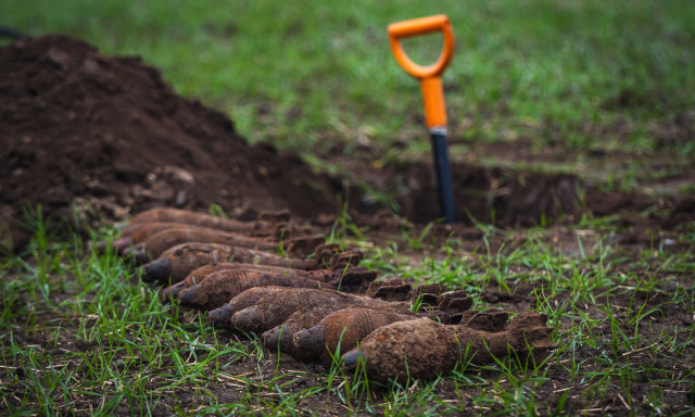 Robban&oacute;szert tal&aacute;ltak a Balatonn&aacute;l