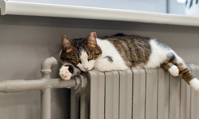 A nagy hideg miatt janu&aacute;rban nem kapcsolja ki az MVM az &aacute;ramot &eacute;s a g&aacute;zt