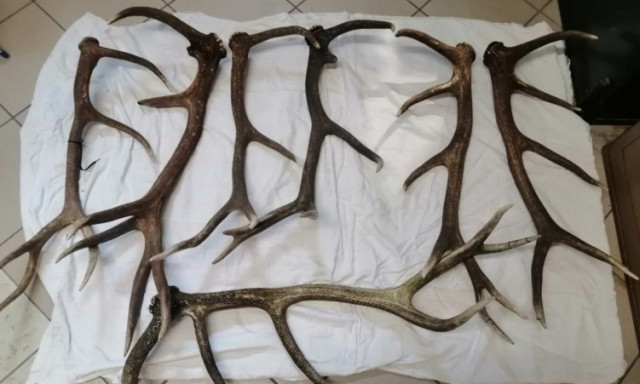 Agancstolvajt fogtak a veszpr&eacute;mi rendőr&ouml;k