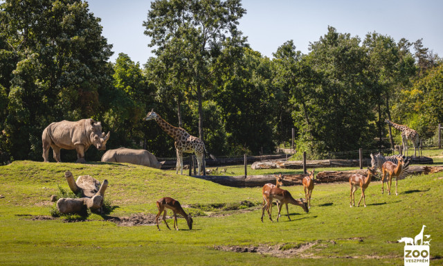 &Aacute;llatkertek &eacute;jszak&aacute;ja - Veszpr&eacute;mben is hosszabb&iacute;tott nyitva tart&aacute;ssal v&aacute;rj&aacute;k a l&aacute;togat&oacute;kat