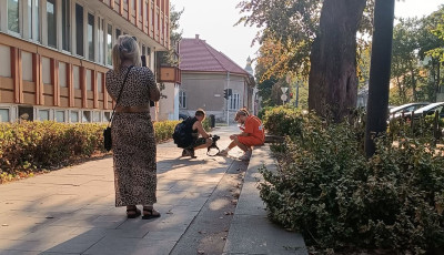 Kaposváron éjszakázik a Most Wanted csapata – Városunkban látták Balázsékat