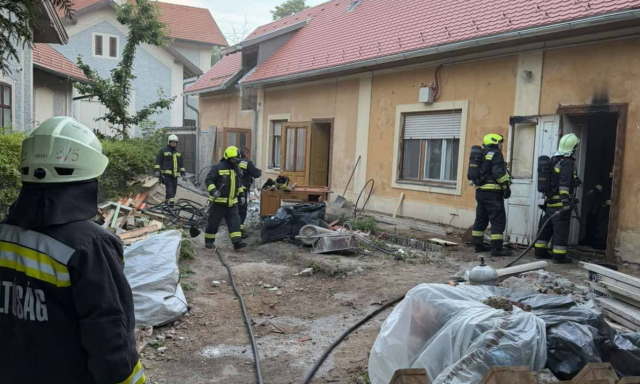 Baleset, kidőlt fa &eacute;s k&eacute;t tűzeset: mozgalmas napjuk volt a balatonf&uuml;redi tűzolt&oacute;knak