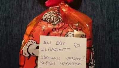 Hagyj el egy Mikul&aacute;scsomagot Veszpr&eacute;mben!