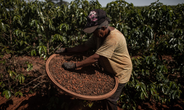 Brut&aacute;lisan megdr&aacute;gult a k&aacute;v&eacute; &eacute;s nagyon &uacute;gy n&eacute;z ki, hogy mostan&aacute;ban nem cs&ouml;kken az &aacute;ra