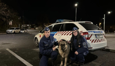 Egy n&eacute;metjuh&aacute;szon seg&iacute;tettek a veszpr&eacute;mi j&aacute;rőr&ouml;k