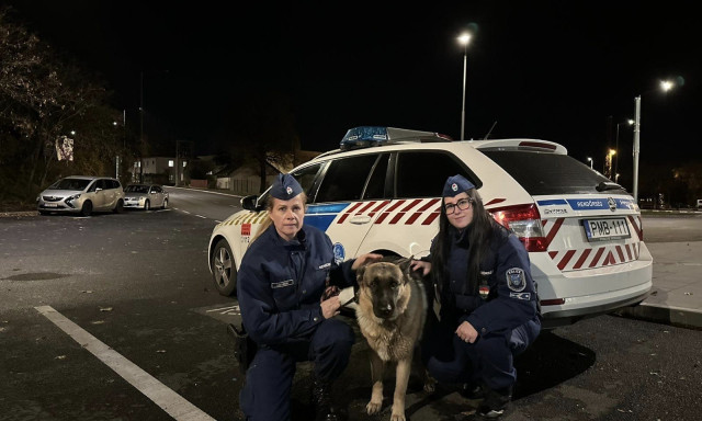 Egy n&eacute;metjuh&aacute;szon seg&iacute;tettek a veszpr&eacute;mi j&aacute;rőr&ouml;k