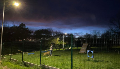 Fejbe lőtte mag&aacute;t egy idős f&eacute;rfi Veszpr&eacute;mben