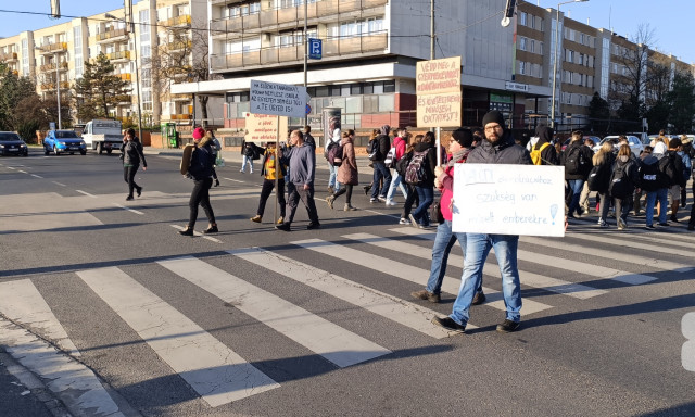 T&ouml;retlen a zebraszerda Veszpr&eacute;mben - GAL&Eacute;RIA
