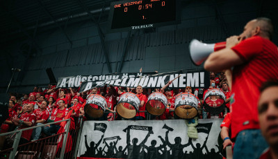 F&aacute;j&oacute; pofon a BL-ben: az Aalborg 33-38-ra nyert Veszpr&eacute;mben - GAL&Eacute;RIA