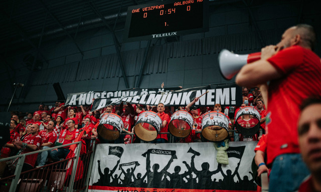 F&aacute;j&oacute; pofon a BL-ben: az Aalborg 33-38-ra nyert Veszpr&eacute;mben - GAL&Eacute;RIA