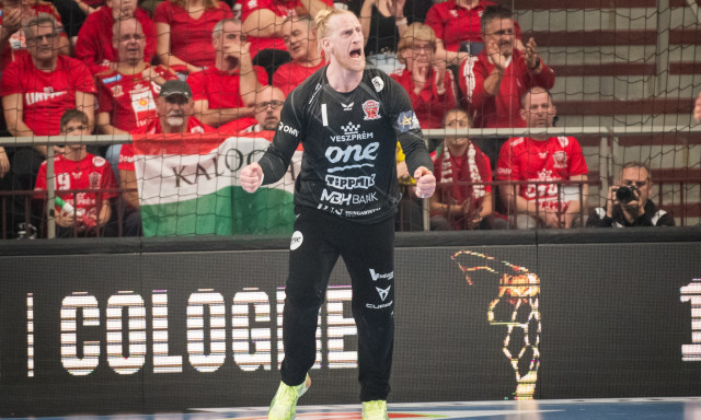 Megvannak a Magyar Kupa negyedd&ouml;ntőinek p&aacute;ros&iacute;t&aacute;sai