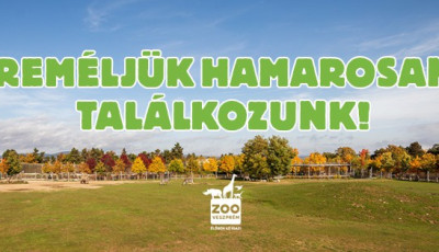 Folytatódnak a fejlesztések a veszprémi állatkertben