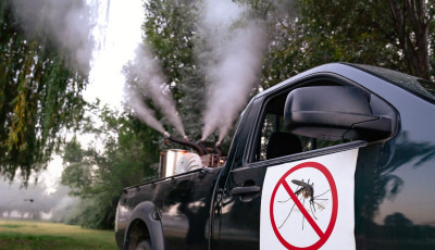 Indul a Balatonn&aacute;l a sz&uacute;nyoggy&eacute;r&iacute;t&eacute;s