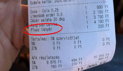 Ilyet m&eacute;g nem l&aacute;ttunk - 200 forintos &bdquo;plusz t&aacute;ny&eacute;rd&iacute;j&rdquo; a Balatonn&aacute;l