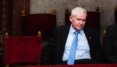 Ennyi volt - T&aacute;vozik az Alkotm&aacute;nyb&iacute;r&oacute;s&aacute;g &eacute;l&eacute;ről Polt P&eacute;ter