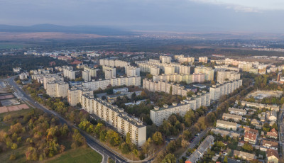 Kiugrott az ablakon &eacute;s meghalt egy kutya a Haszkov&oacute;n - Elj&aacute;r&aacute;s indult a gazd&aacute;k ellen