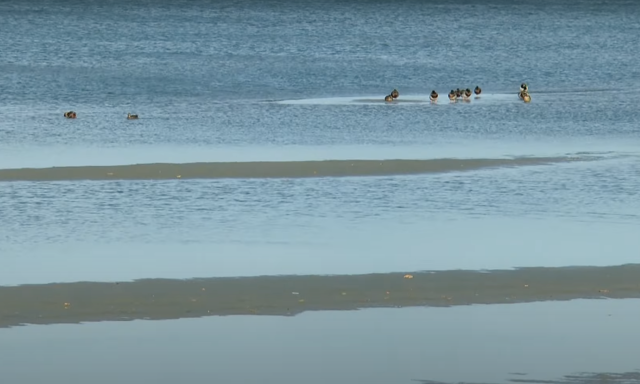 Az erős sz&eacute;l kibillentette a Balatont a medr&eacute;ből - VIDE&Oacute;