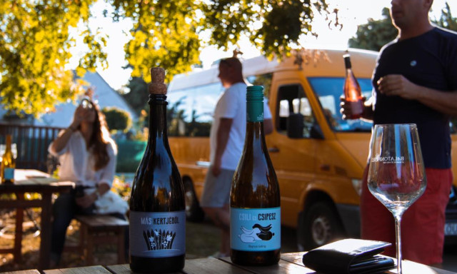 P&eacute;nteken kezdődik a Balatoni Hal- &eacute;s Bor&uuml;nnep F&uuml;reden