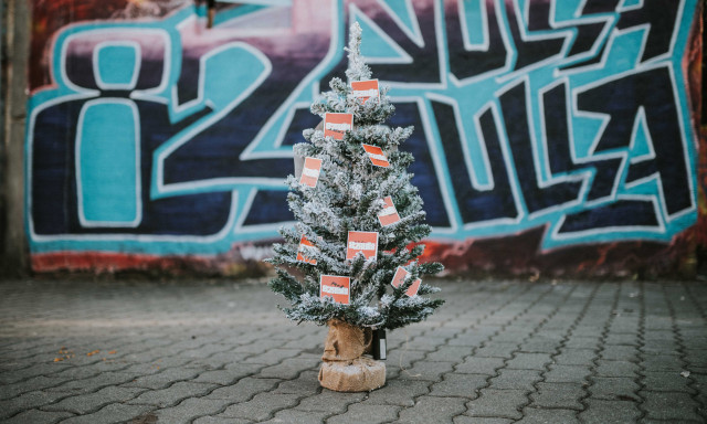 Kinek van a legszebb kar&aacute;csonyf&aacute;ja Veszpr&eacute;mben?