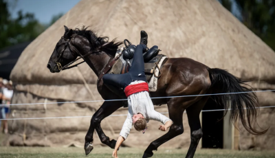Hungarikum lett a magyar nyereg &eacute;s a Pető-m&oacute;dszer