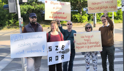 J&oacute; időben is kint voltak a zebraszerd&aacute;z&oacute;k