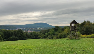 A Bakonyban kanyarog az &eacute;v erdei ker&eacute;kp&aacute;r&uacute;tja