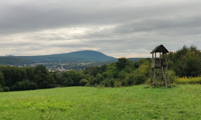 A Bakonyban kanyarog az &eacute;v erdei ker&eacute;kp&aacute;r&uacute;tja