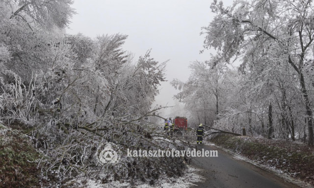 Rengeteg fa dőlt ki a r&aacute; nehezedő z&uacute;zmar&aacute;t&oacute;l a Veszpr&eacute;m megyei utakon