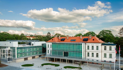 &Uacute;jabb Allegro ny&iacute;lt Veszpr&eacute;mben - Megnyitott az Allegro Liget