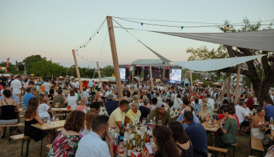 4 nap, t&ouml;bb mint 40 előad&oacute; - Kezdődik a Paloznaki Jazzpiknik