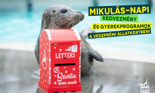 F&eacute;l&aacute;ras Mikul&aacute;s-nap a Veszpr&eacute;mi &Aacute;llatkertben - Csak egy rajz kell hozz&aacute;