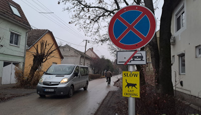 Szegeden macsk&aacute;s t&aacute;bl&aacute;k &oacute;vj&aacute;k a cic&aacute;k biztons&aacute;g&aacute;t