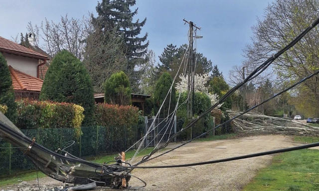 F&aacute;k &eacute;s villanyoszlopok dőltek ki a vihar miatt Veszpr&eacute;m megy&eacute;ben
