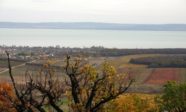 K&ouml;d, p&aacute;ra &eacute;s sz&uuml;rkes&eacute;g lesz jellemző a h&eacute;t első fel&eacute;ben