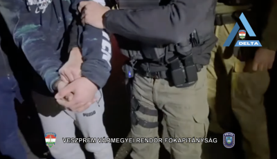 K&aacute;b&iacute;t&oacute;szer-keresked&eacute;ssel gyan&uacute;s&iacute;tj&aacute;k a Zircen balesetet okoz&oacute; 29 &eacute;ves f&eacute;rfit