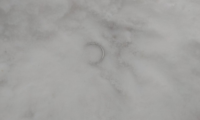 Egy mozdulat, &eacute;s eltűnt a jegygyűrű: f&eacute;mkeresővel &eacute;rkezett a megmentő a Balatont&oacute;l