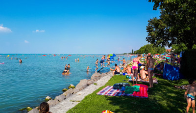 42 f&eacute;le gy&oacute;gyszert mutattak ki a Balatonb&oacute;l, Zam&aacute;rdin&aacute;l kokaint is tal&aacute;ltak