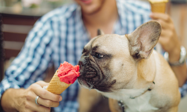 Veszpr&eacute;mi fagyiz&oacute;k is ott vannak a Top30-ban