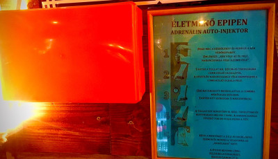 Biztos ami biztos &ndash; &Eacute;letmentő EpiPent helyeztek el a Picuri Kocsm&aacute;ban