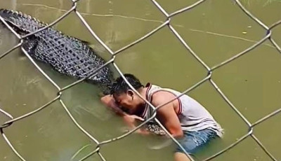 Szelfizni akart a szobornak hitt krokodillal - Hiba volt - VIDE&Oacute;