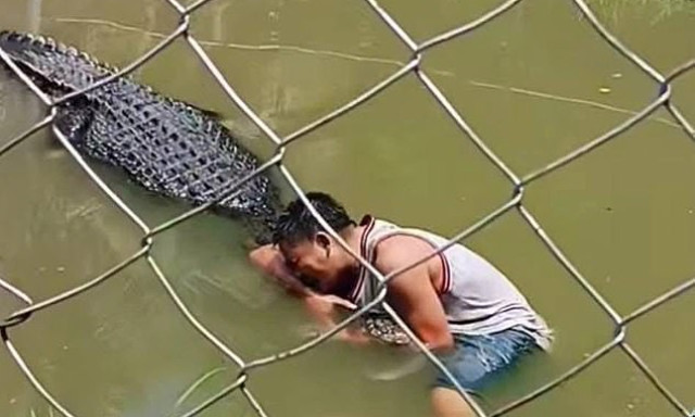 Szelfizni akart a szobornak hitt krokodillal - Hiba volt - VIDE&Oacute;