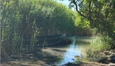 Eltűnt egy v&eacute;dett n&aacute;das Csopakon, rendőrs&eacute;gi feljelent&eacute;s sz&uuml;letett