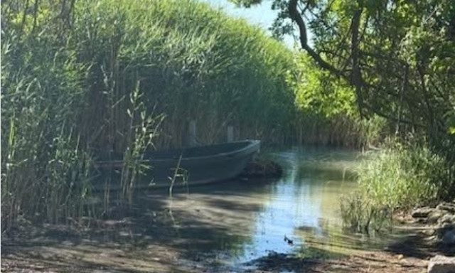 Eltűnt egy v&eacute;dett n&aacute;das Csopakon, rendőrs&eacute;gi feljelent&eacute;s sz&uuml;letett