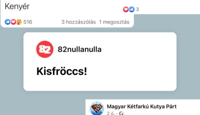 Kisfr&ouml;ccs, keny&eacute;r, cuccok - Ellept&eacute;k a Facebookot az egyszavas posztok