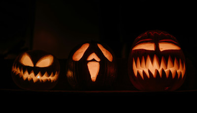 T&ouml;kfarag&aacute;s a Salf&ouml;ldi Majorban