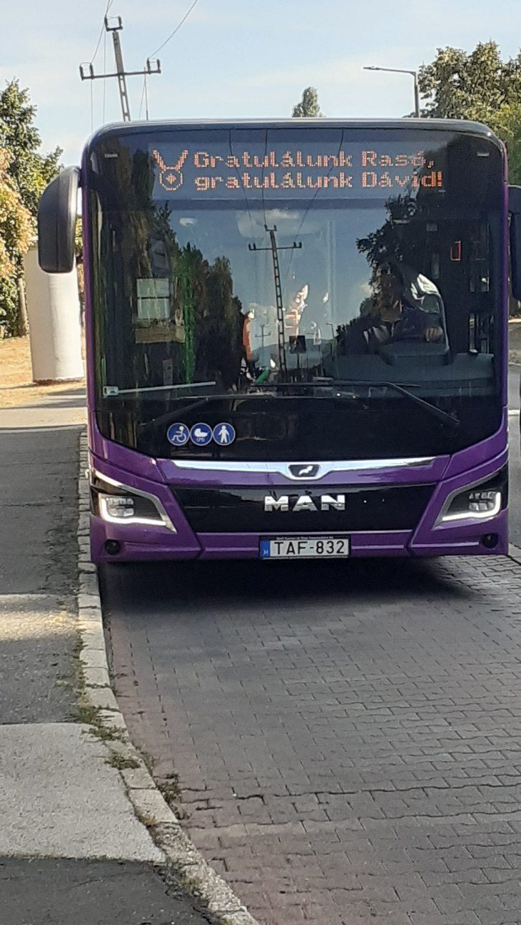 V-Busz