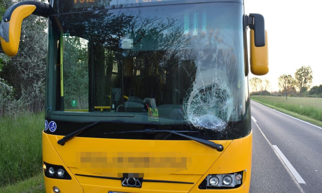 Őz ugrott egy P&aacute;pa fel&eacute; tart&oacute; aut&oacute;busznak