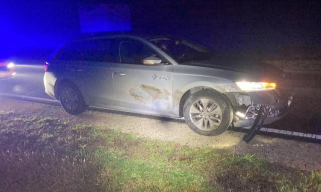 Vaddiszn&oacute; ugrott az aut&oacute; el&eacute;, szem&eacute;lyi s&eacute;r&uuml;l&eacute;s nem t&ouml;rt&eacute;nt