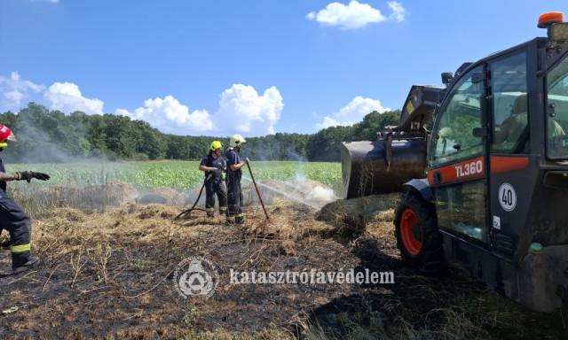 Egy hekt&aacute;ron &eacute;gett az aljn&ouml;v&eacute;nyzet &eacute;s tizen&ouml;t k&ouml;rb&aacute;la Nemesv&aacute;mos k&uuml;lter&uuml;let&eacute;n